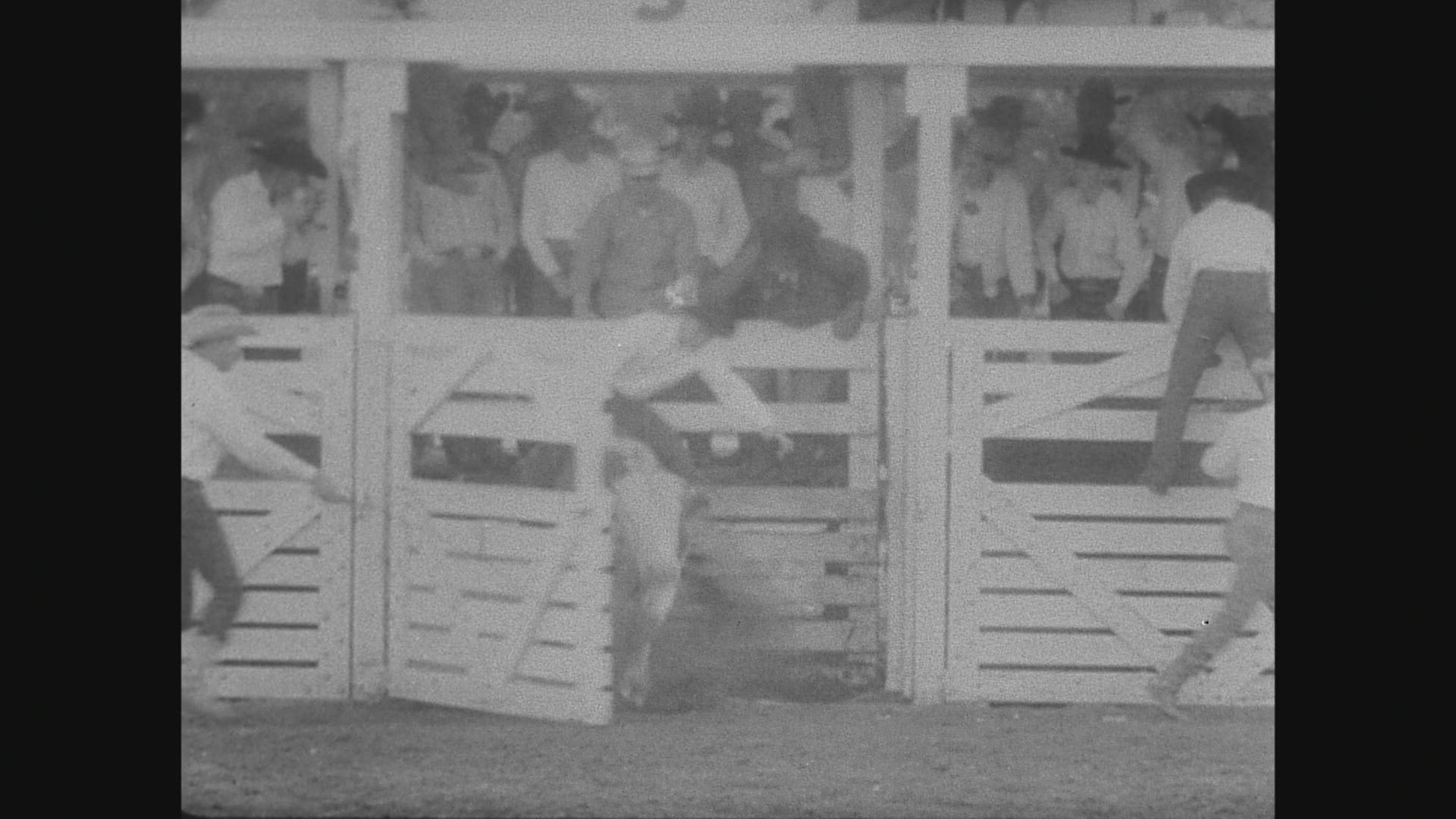 709894703 / Rodeo / USA / 
