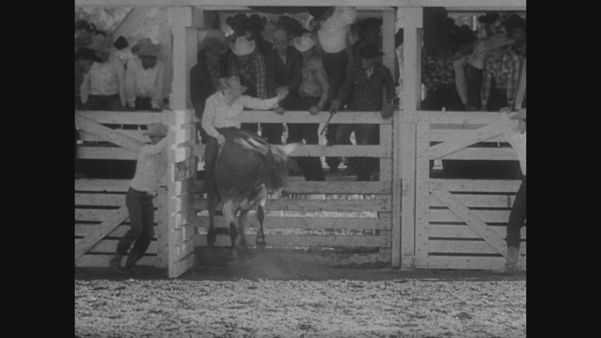 857436287 / Rodeo / USA / 