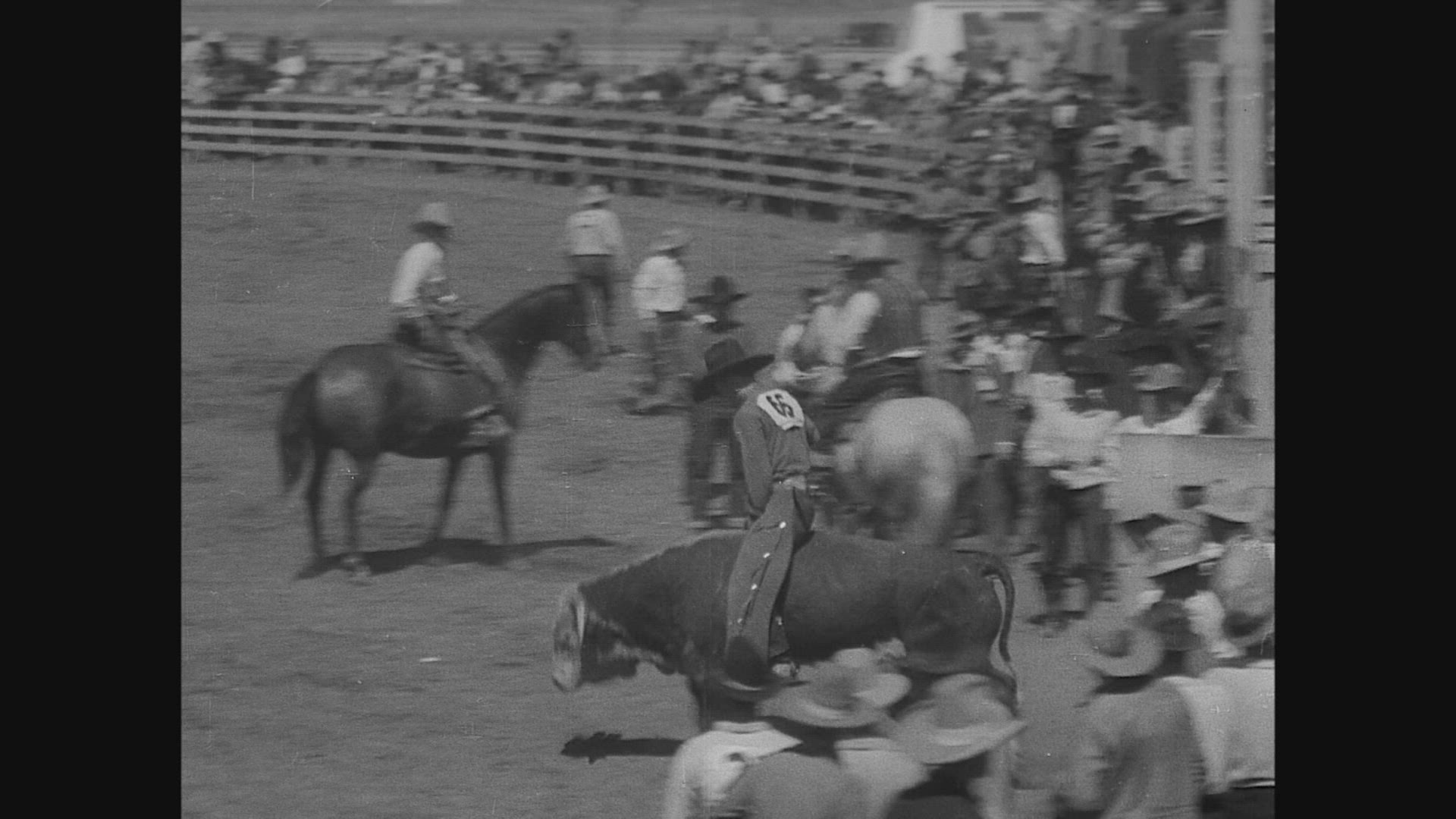 116353275 / Rodeo / Salinas / California / 