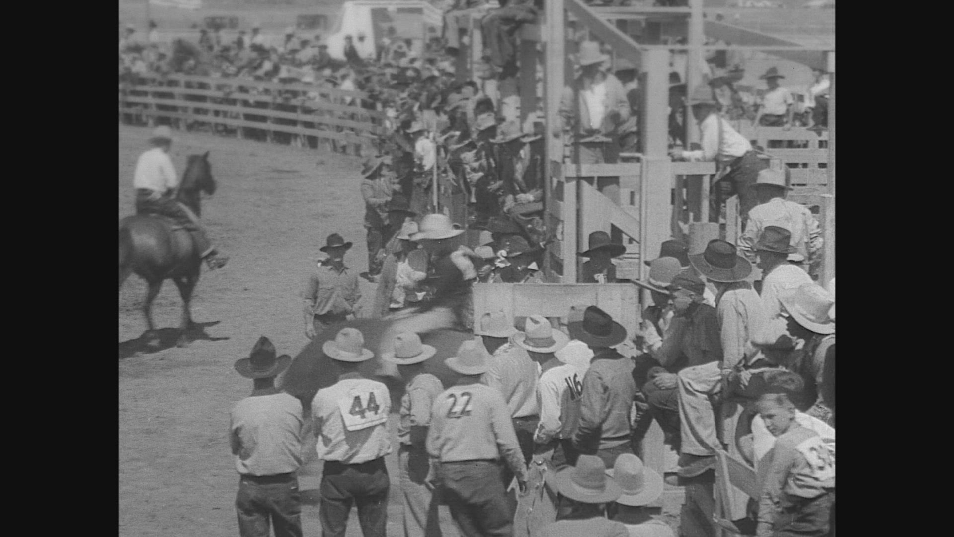 365763830 / Rodeo / Salinas / California / 