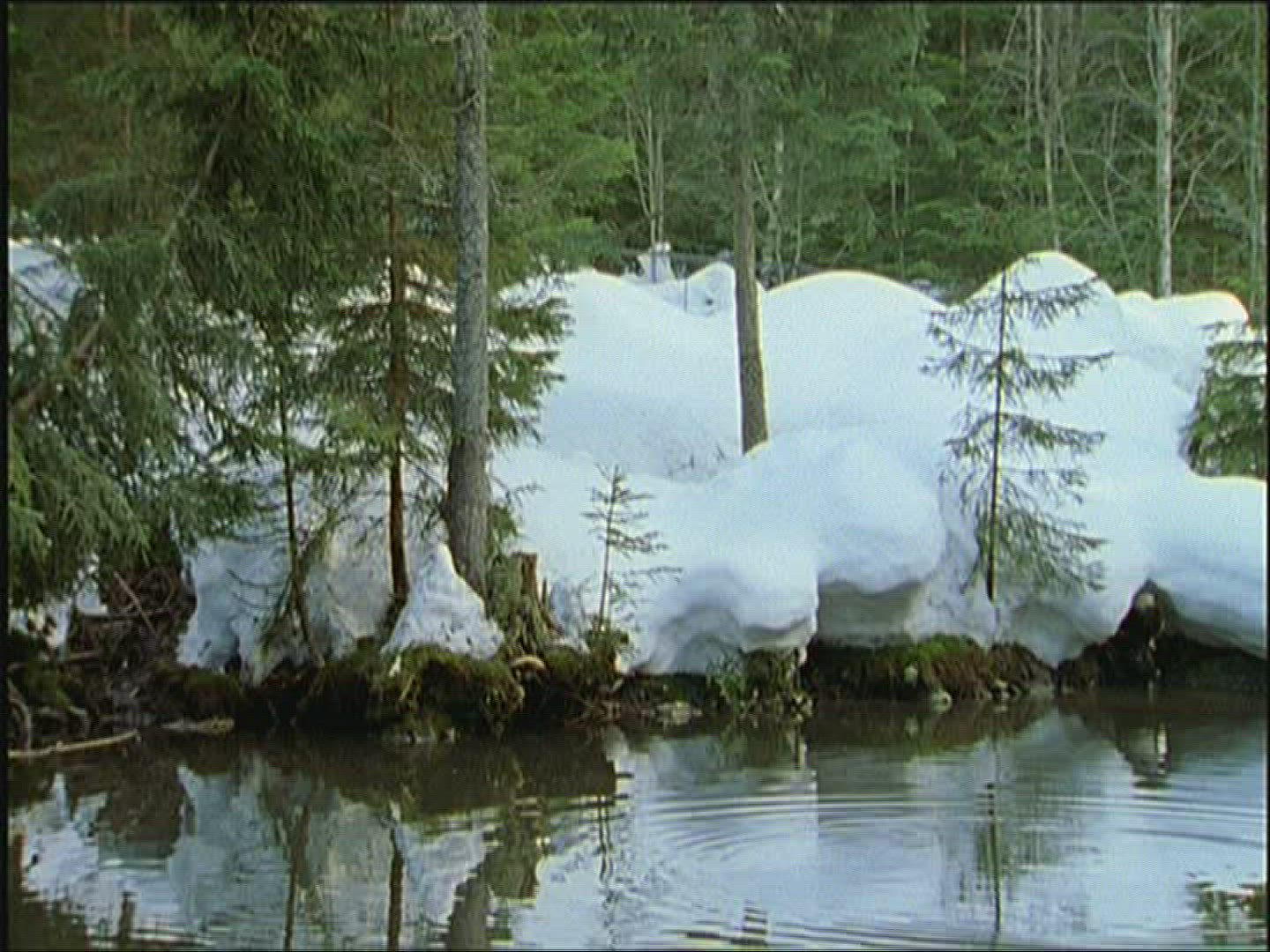 270472991 / Oxbow Lake / Winter / Europe