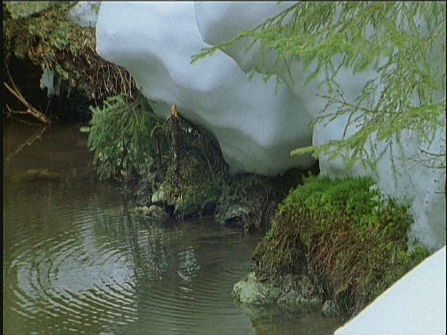 657450519 / Oxbow Lake / Winter / Europe