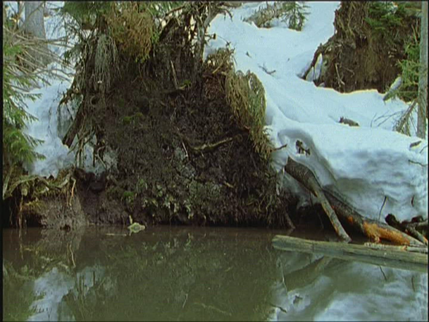 794876337 / Oxbow Lake / Winter / Europe