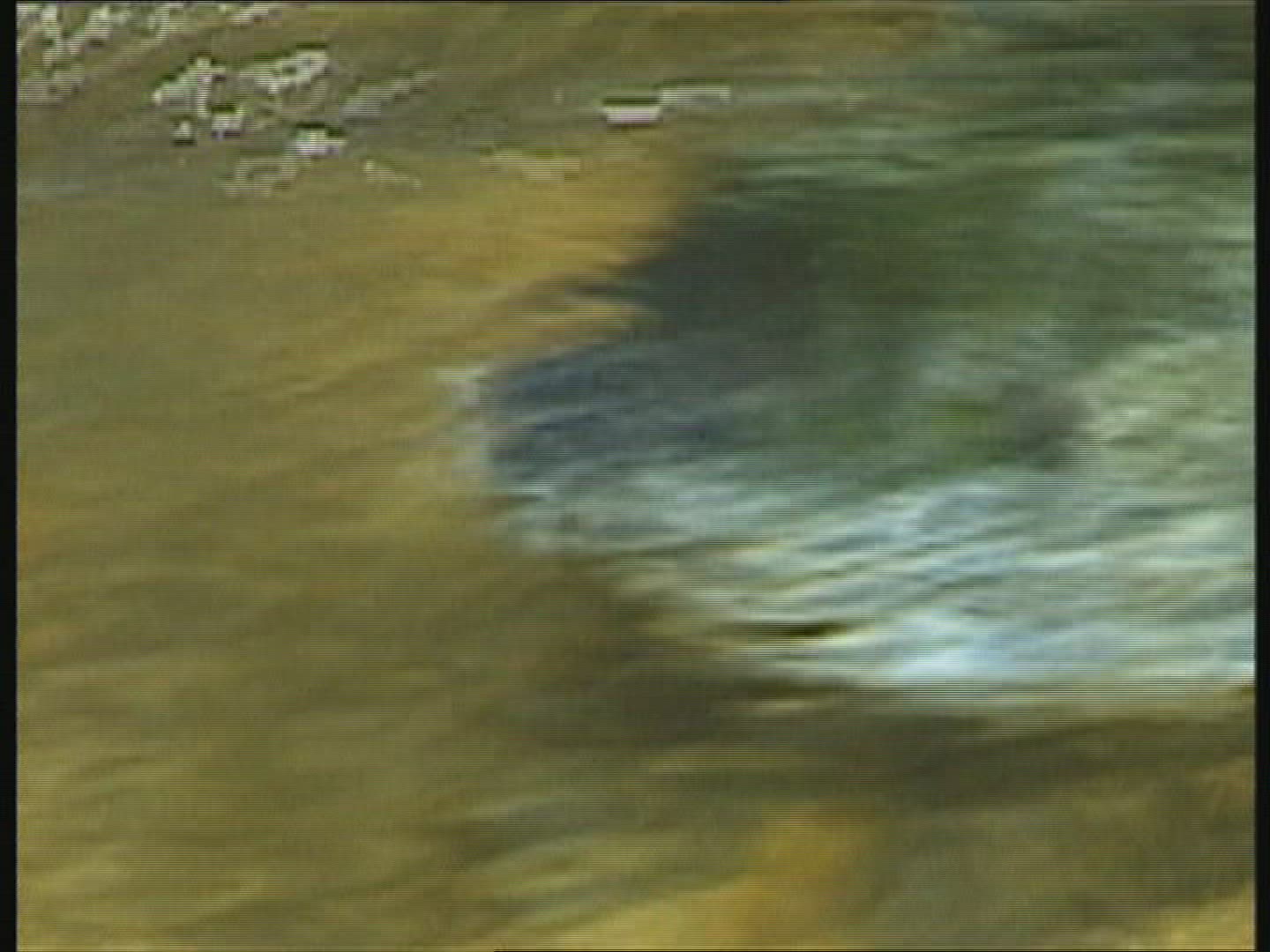 173521022 / Sockeye Salmon / Spawning