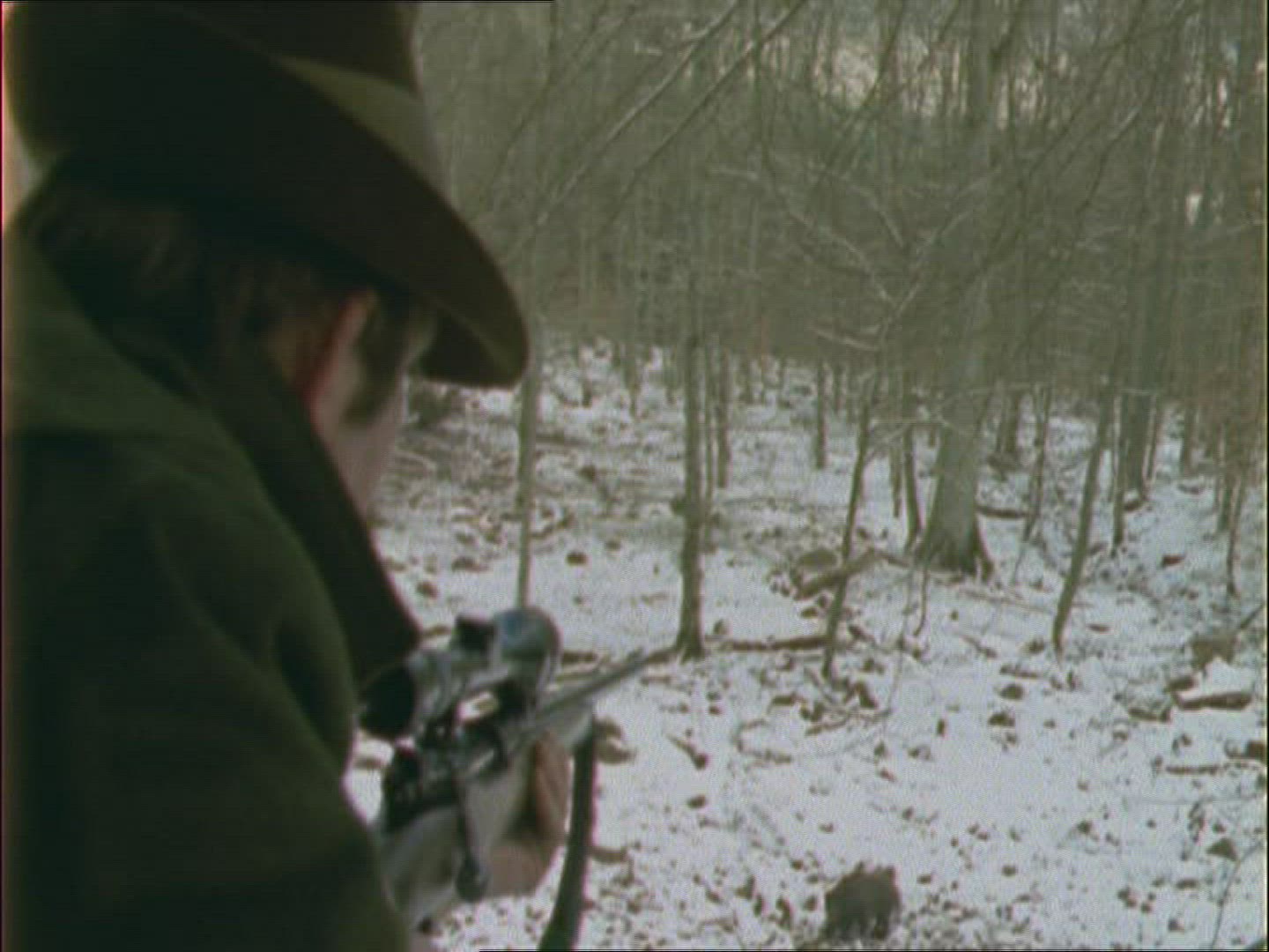 225701412 / Wild Boar / Hunter