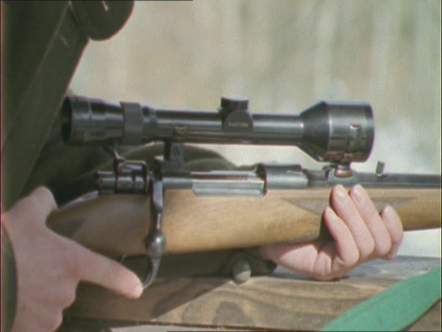 619666569 / Wild Boar / Hunter