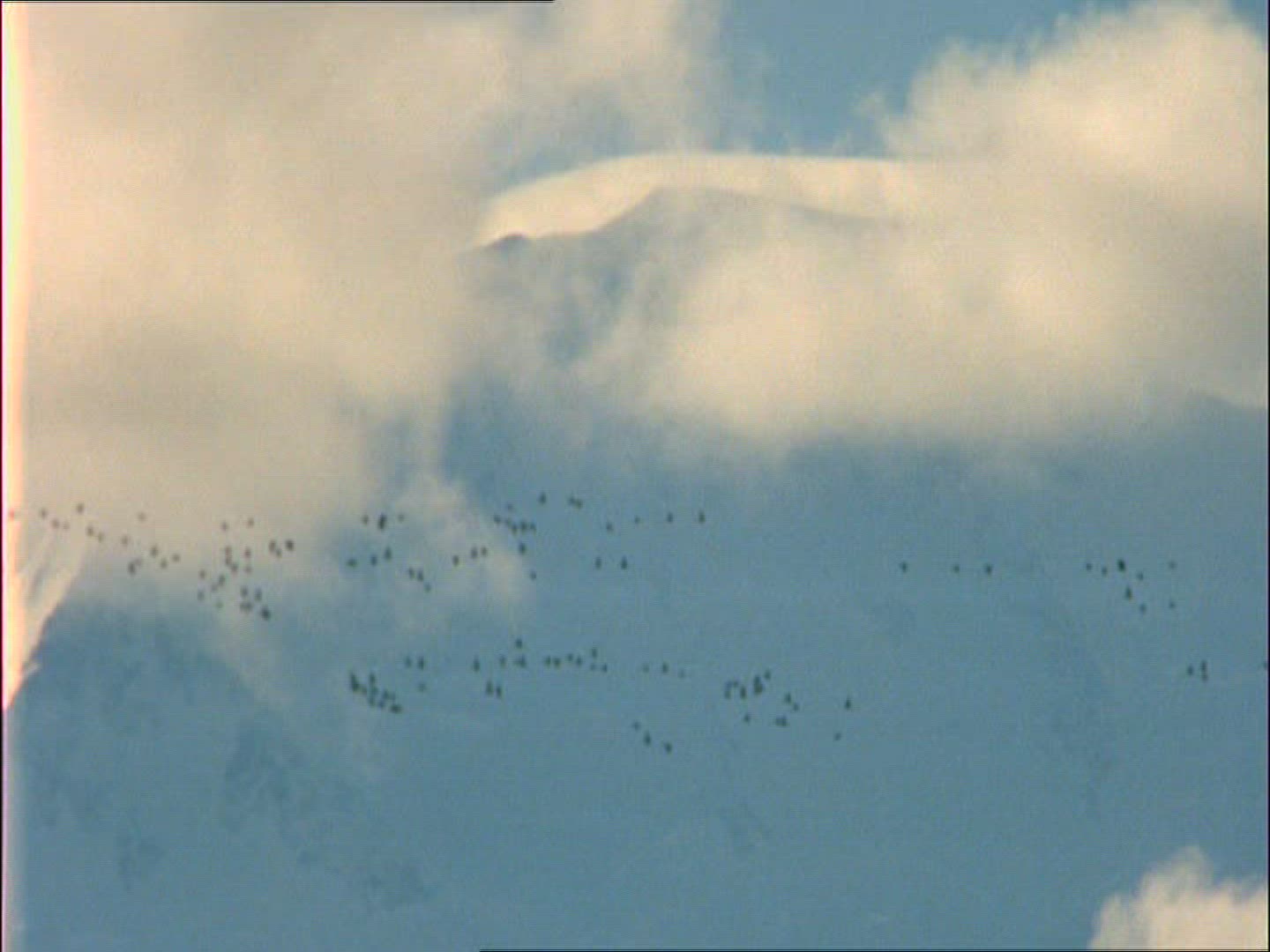 253292920 / Flock of Birds / Alaska
