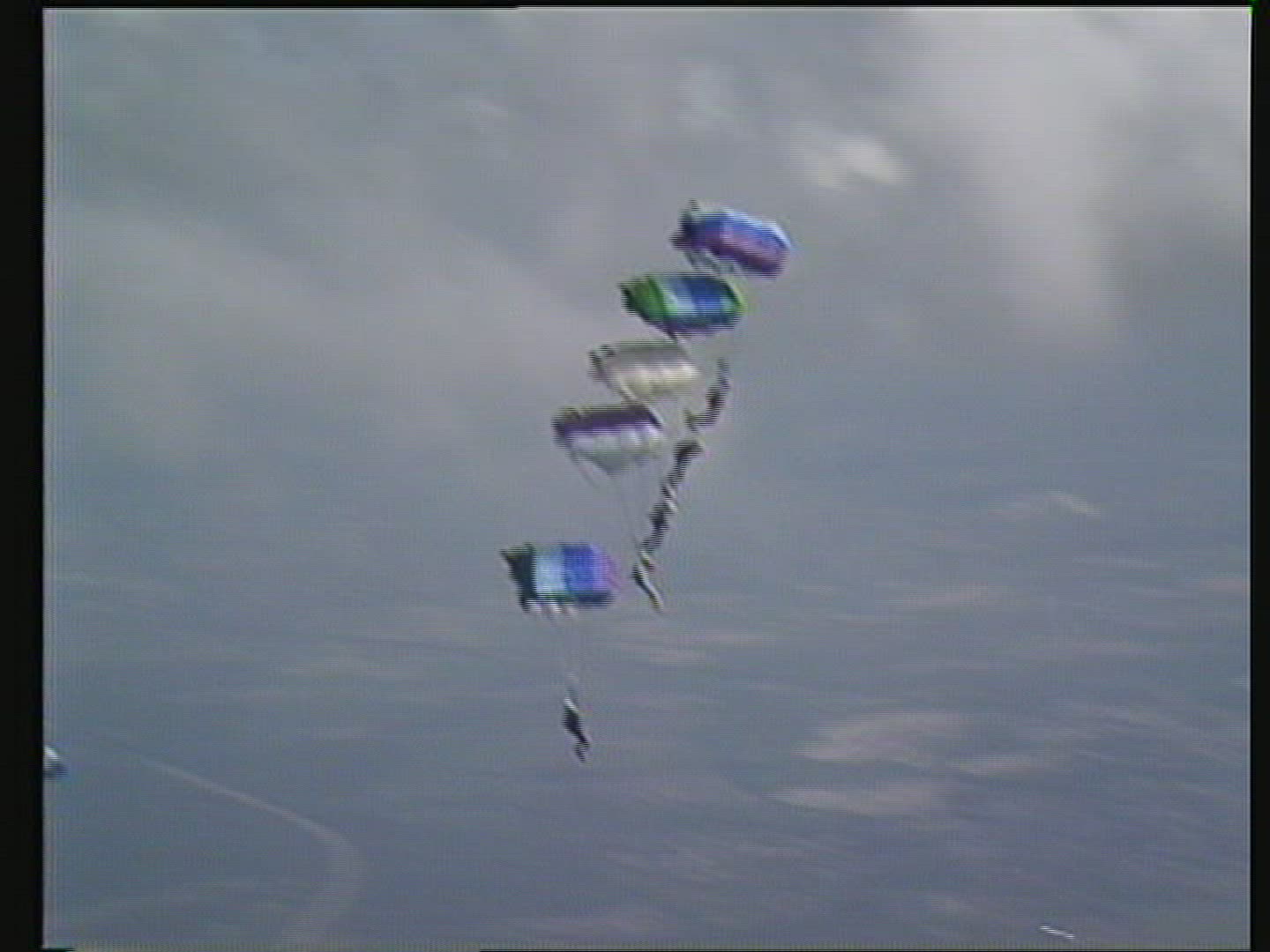 214216703 / Parachuting / Germany