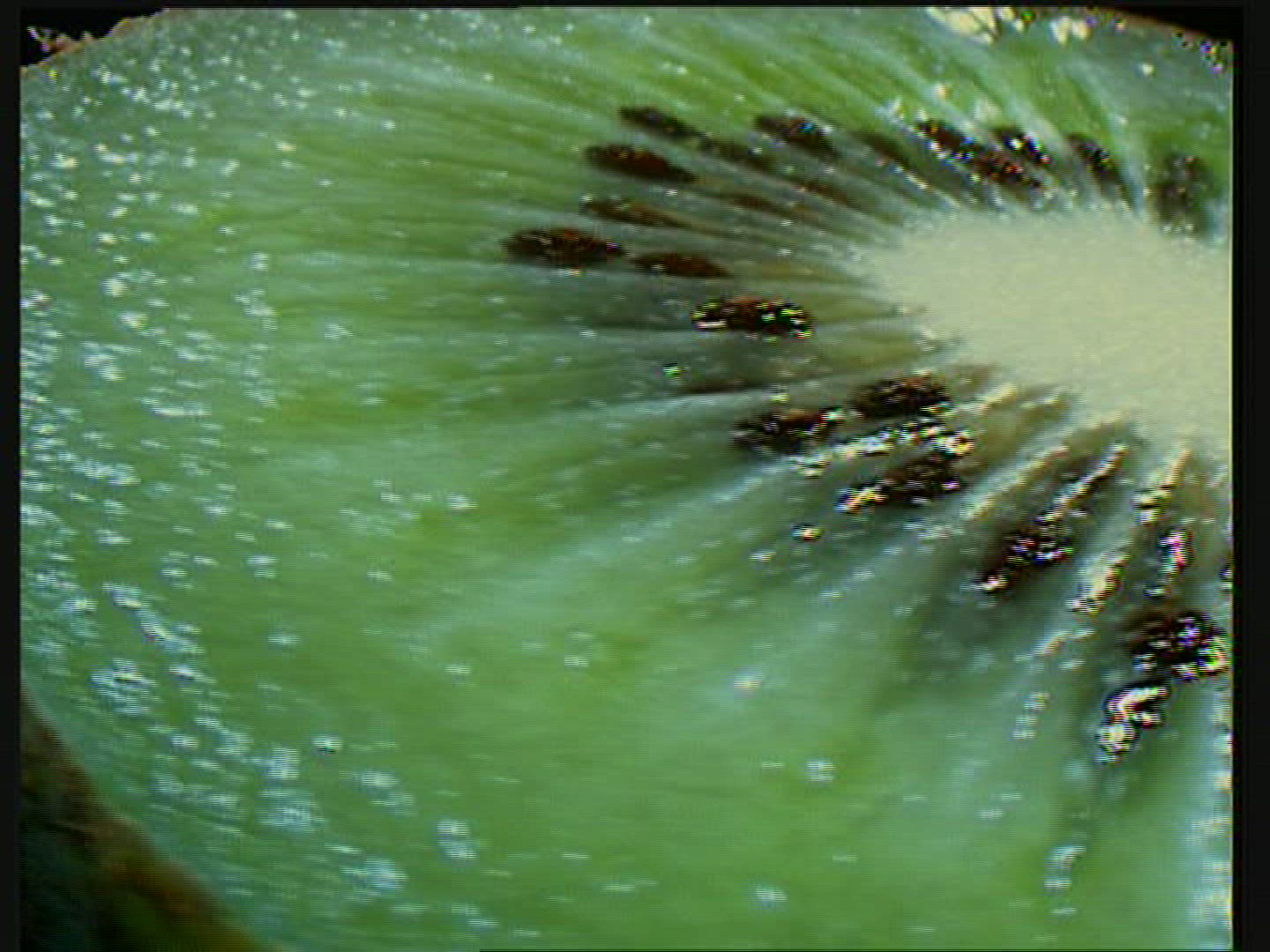 816069467 / Compositing / Fruit