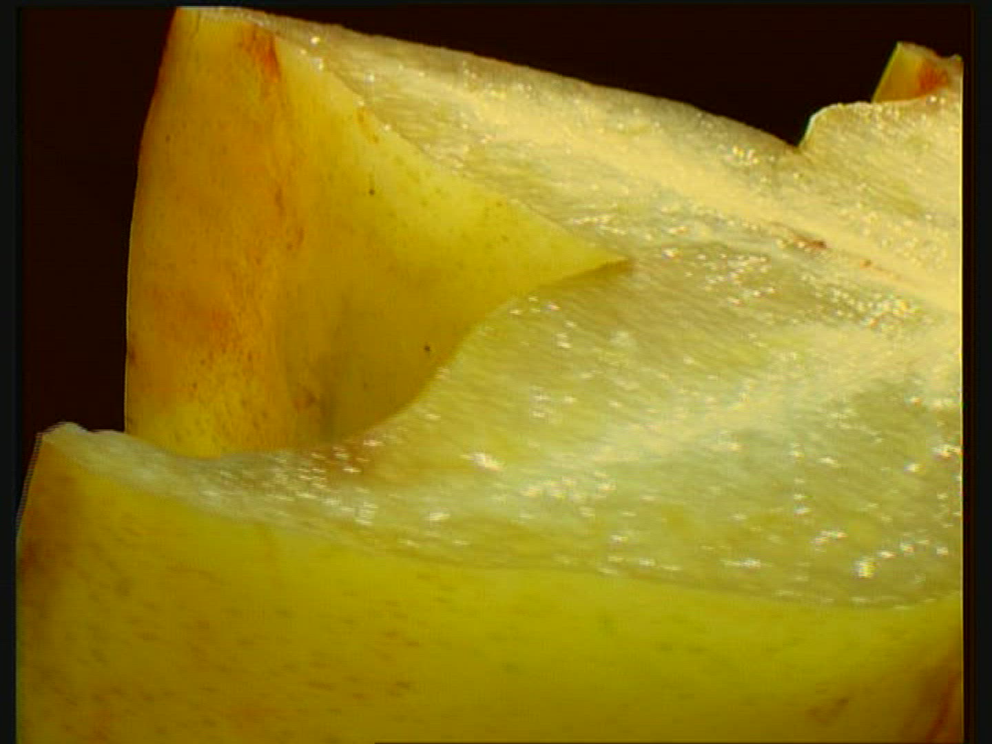 748707536 / Compositing / Fruit