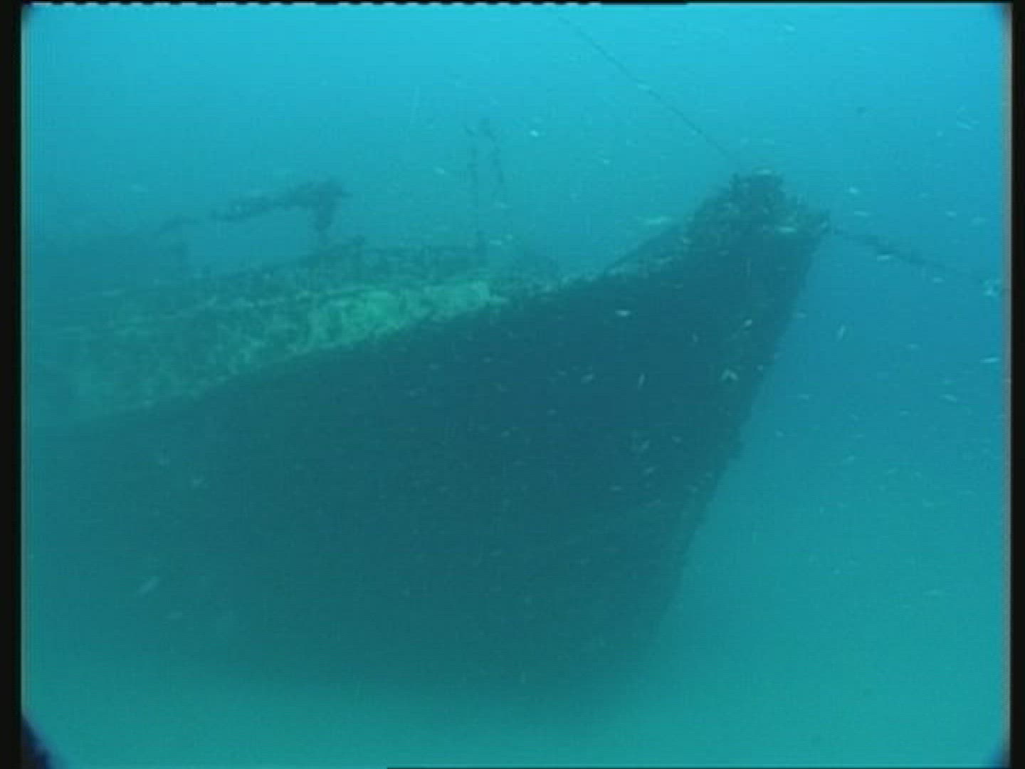 951530816 / Shipwreck / Maldives