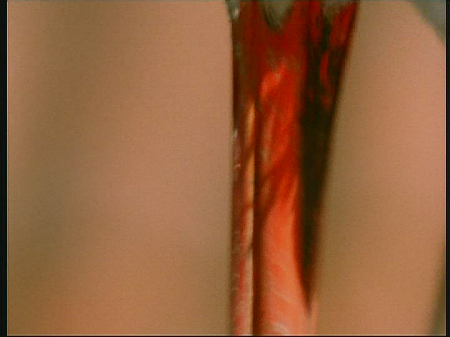 876969482 / White Stork / Eyrie / Poland