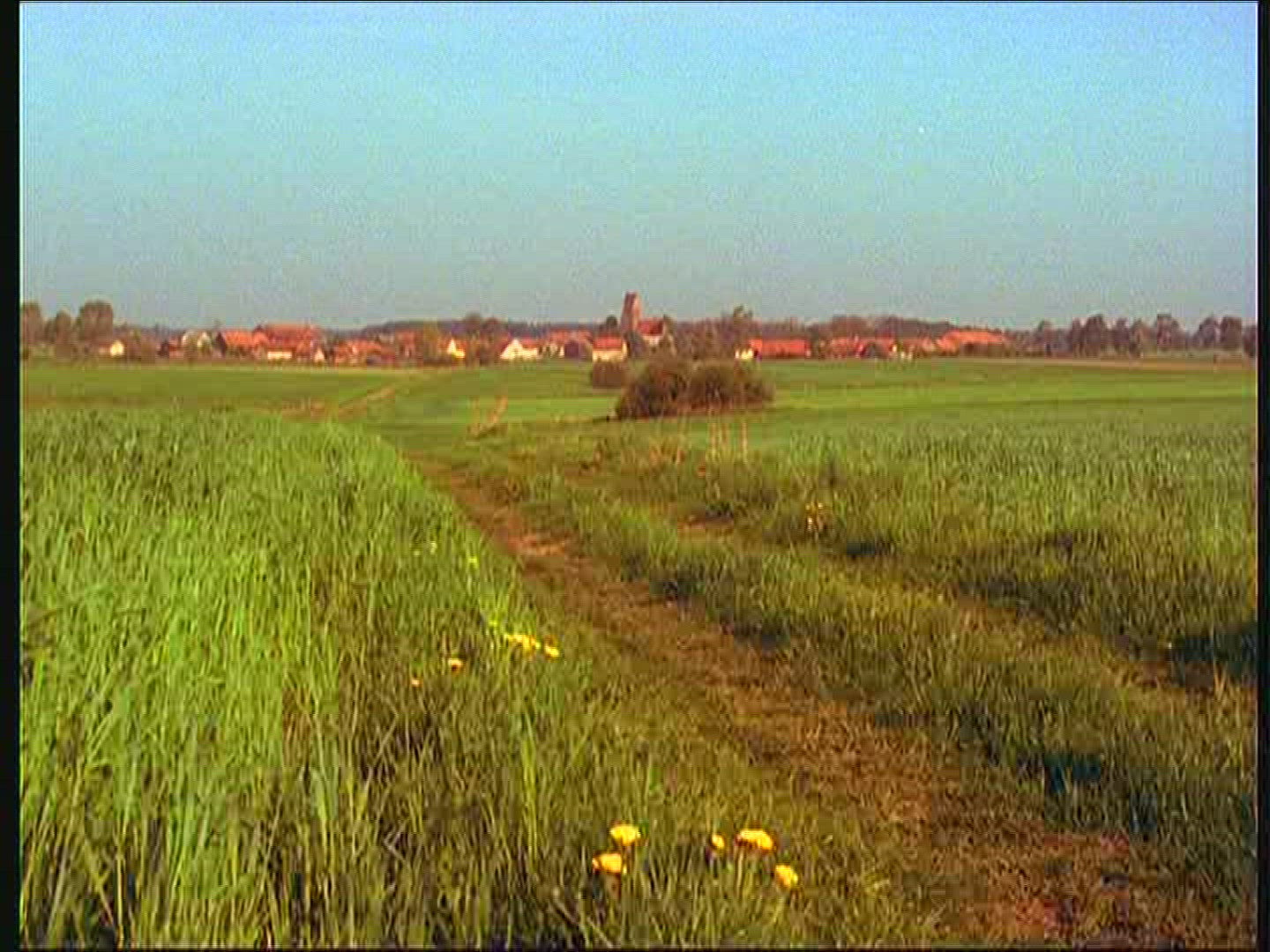 804287122 / Lwowiec / Lwowiec / Poland