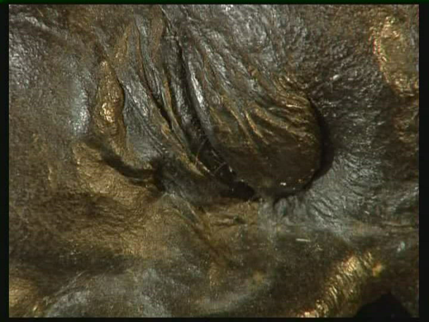 106910623 / Tollund Man / Bog Body / Denmark