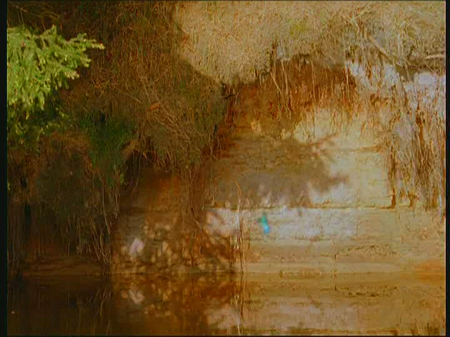 173585037 / Kingfisher / Animal Dwelling / Poland