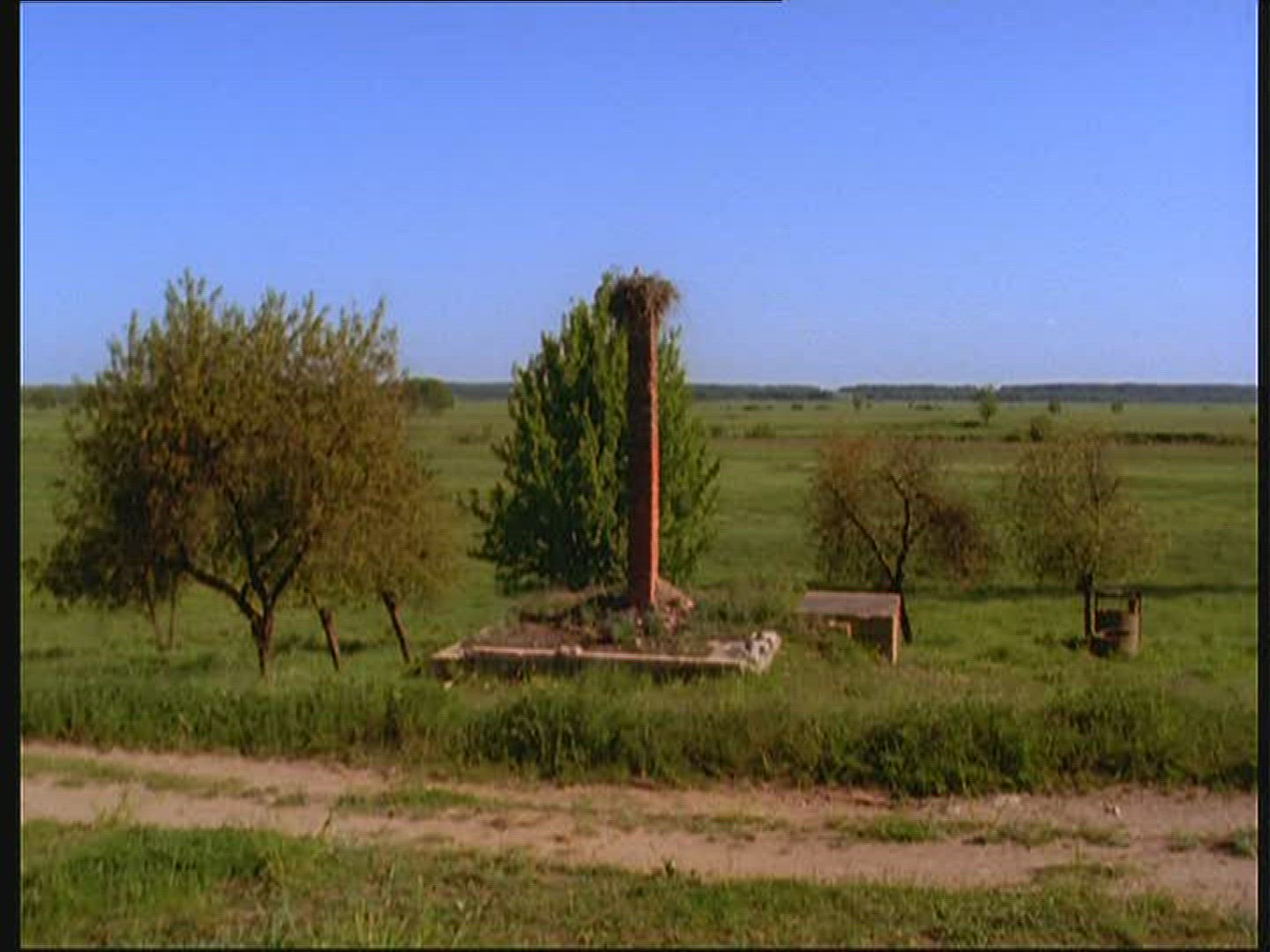 945729059 / White Stork / Chimney / Eyrie / Poland