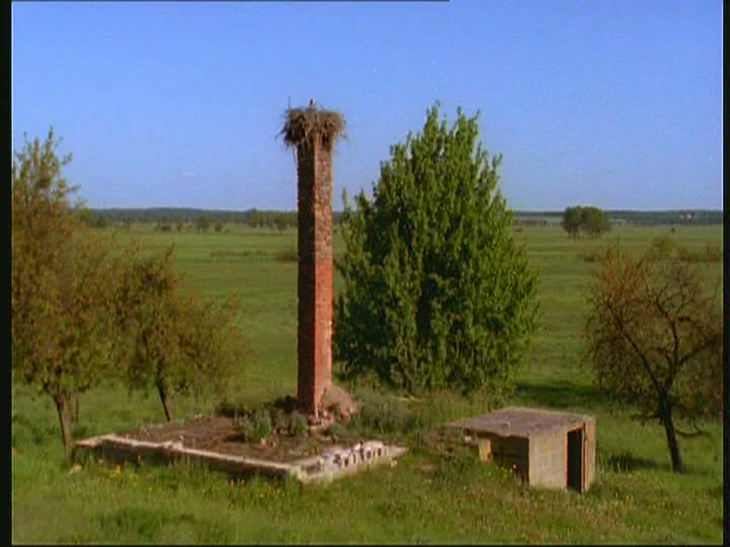 640017130 / White Stork / Chimney / Eyrie / Poland
