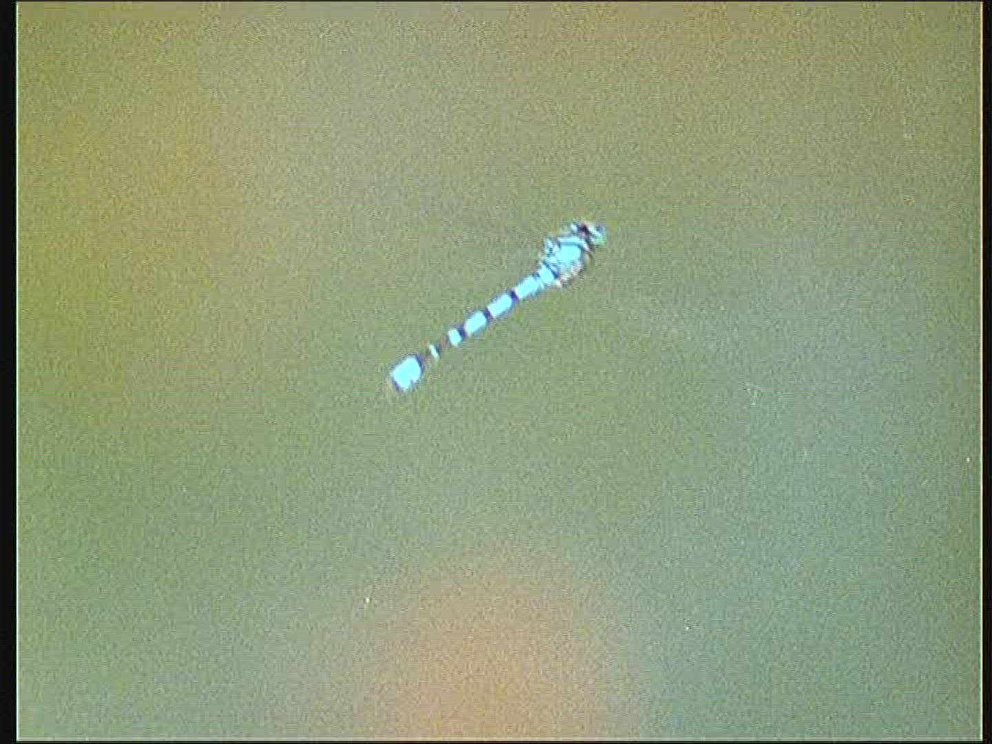 282912104 / Dragonfly / Europe