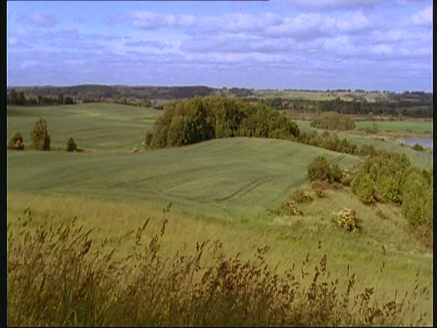 685767564 / Meadow / Masuria / Poland