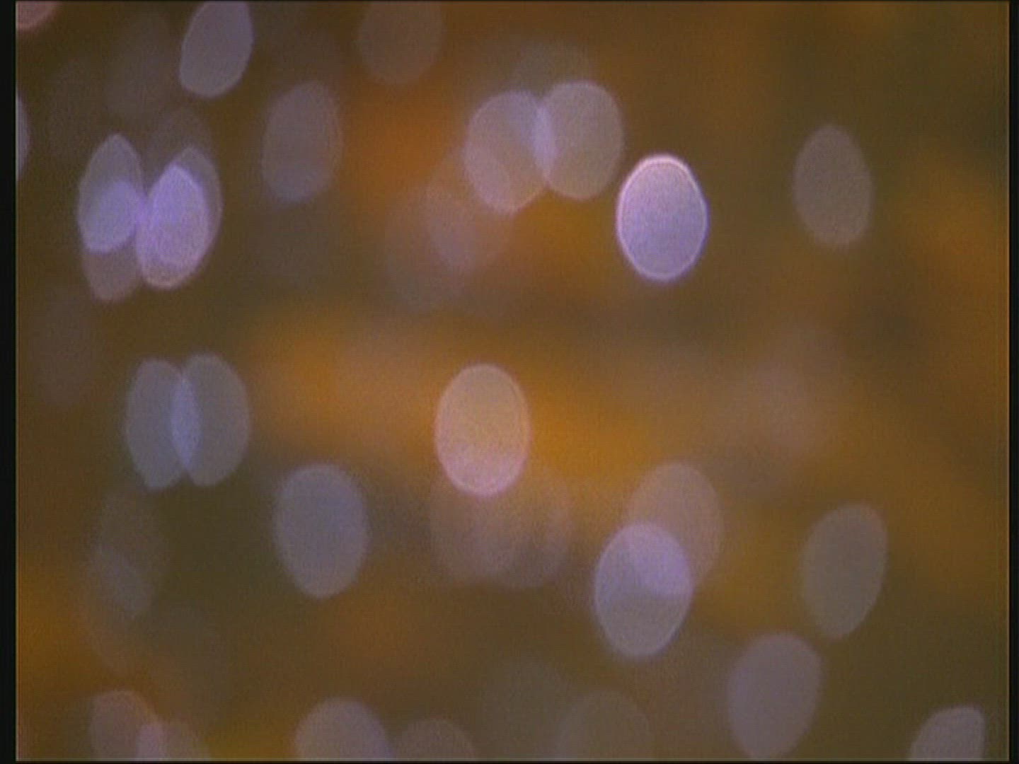 219417836 / Whirligig Beetles / Water Surface / Poland