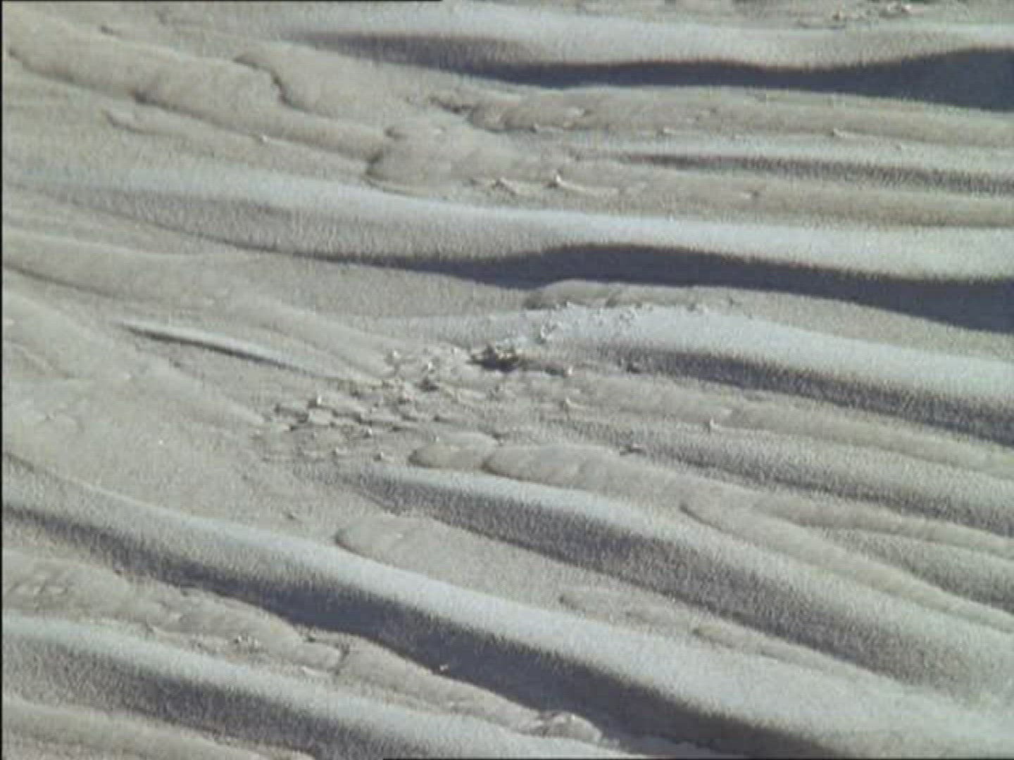 741280351 / Sand / Dune / Pattern / Poland