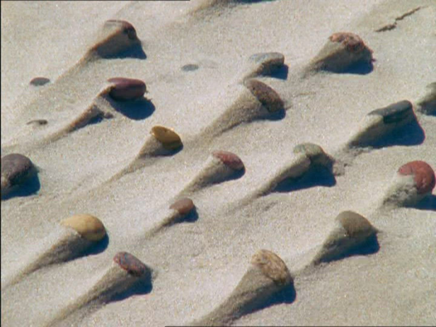 581818551 / Sand / Dune / Pattern / Poland