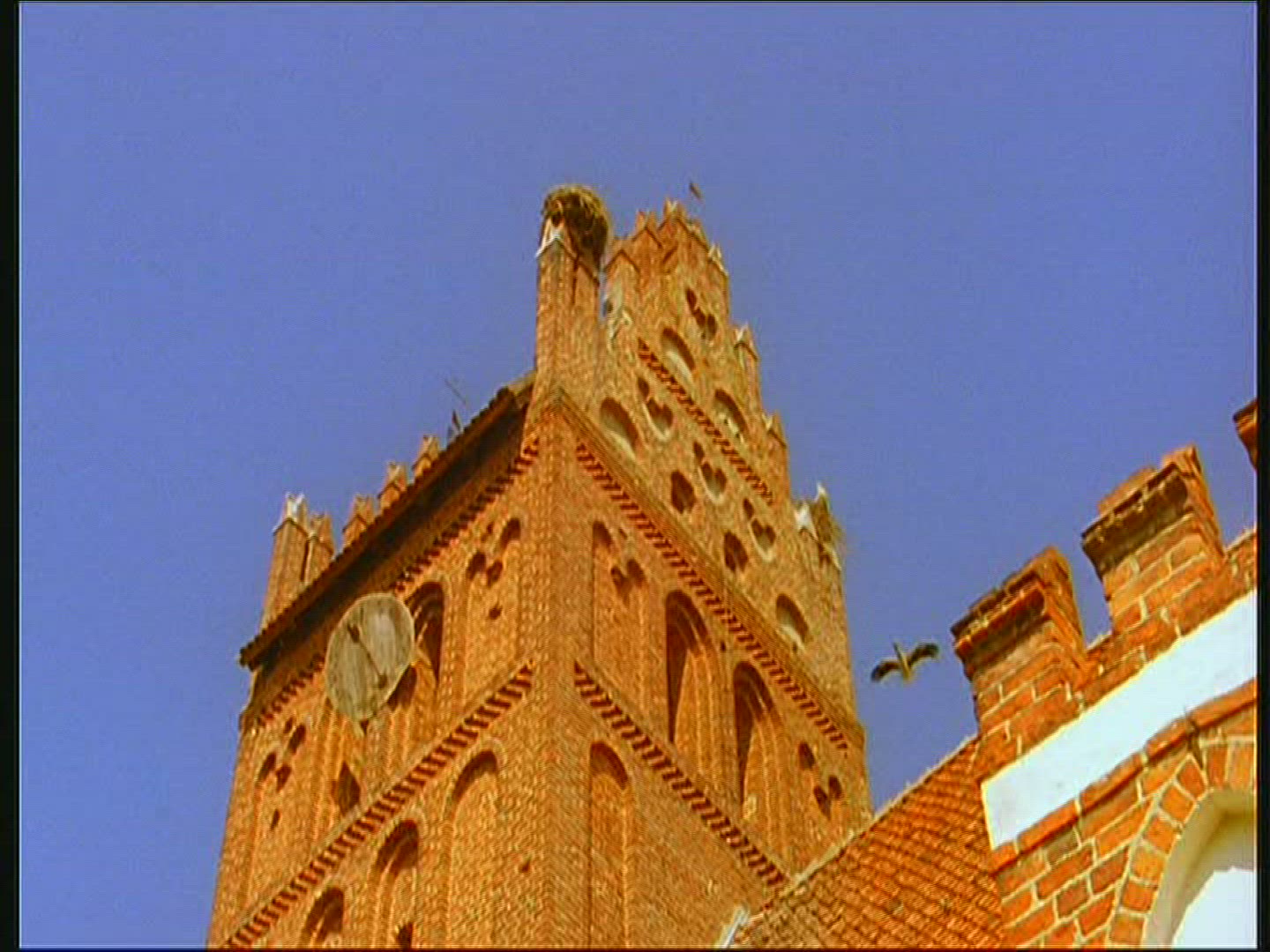 643619138 / White Stork / Storks' Nest / Poland