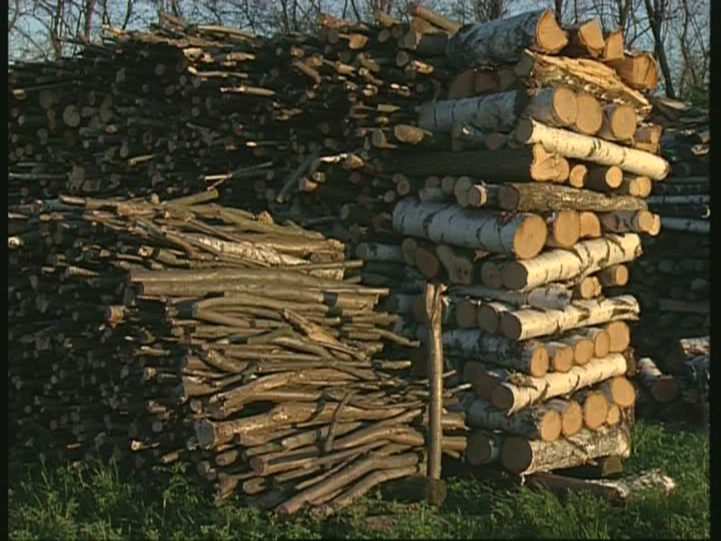 318876093 / Stack of Wood / Forestry / Austria