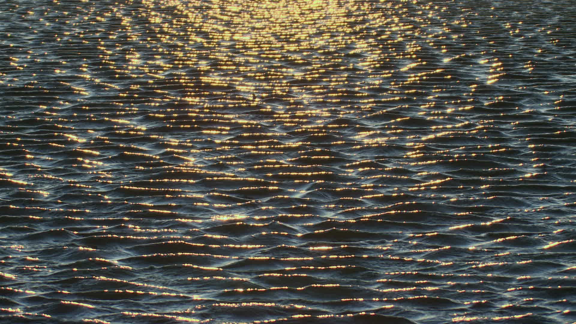 718886117 / Sea / Water Surface / Sun Reflection