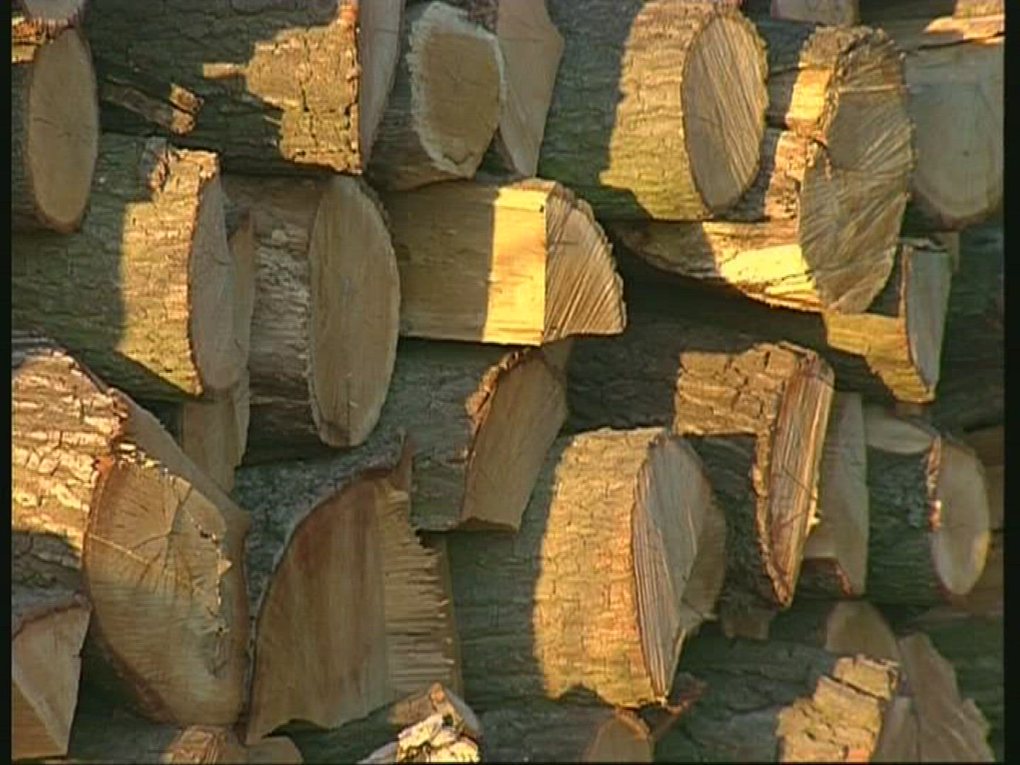 672928145 / Stack of Wood / Forestry / Austria