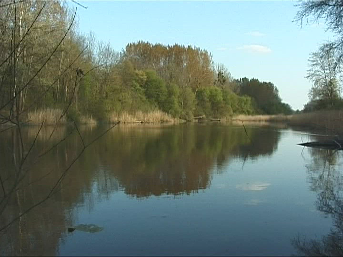 854119723 / Lowland Forest / Lake / Europe