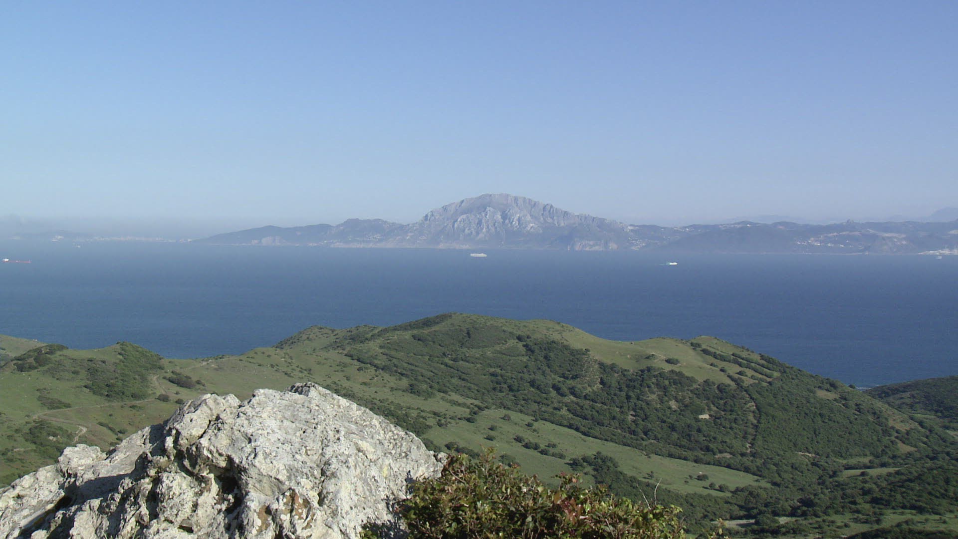 658451543 / Strait of Gibraltar / Andalusia / Spain