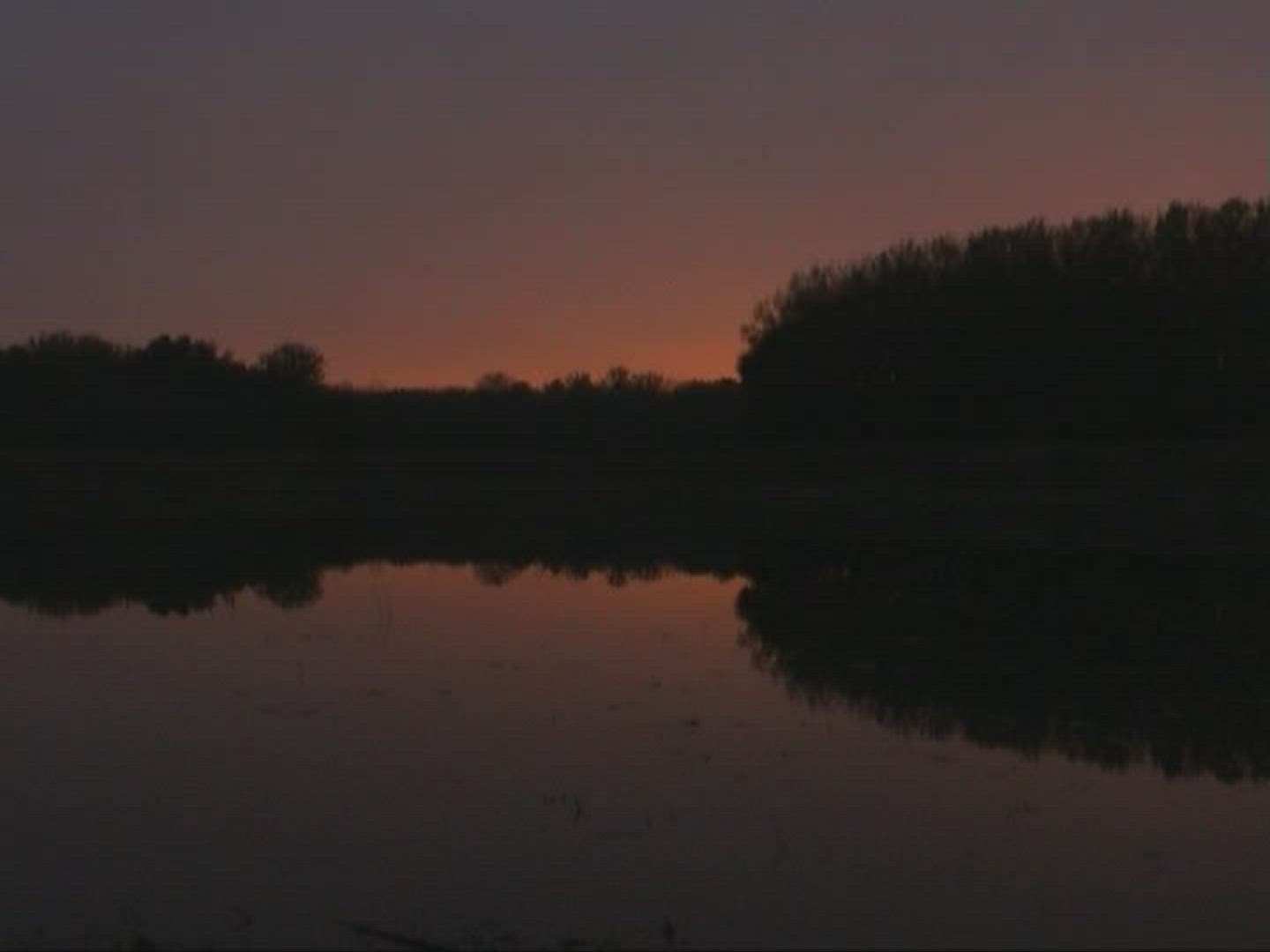 821250016 / Lowland Forest / Lake / Europe