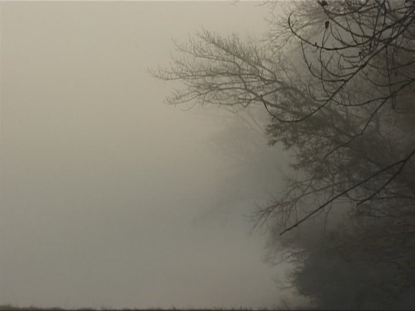 404522073 / Lowland Forest / Lake / Europe