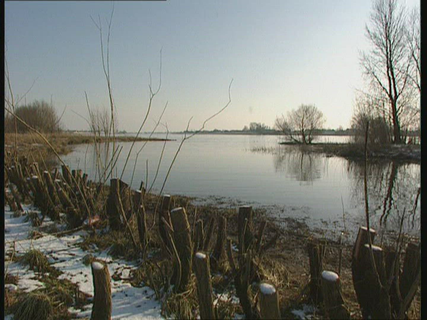 646317650 / Dike / Flood Protection / Germany