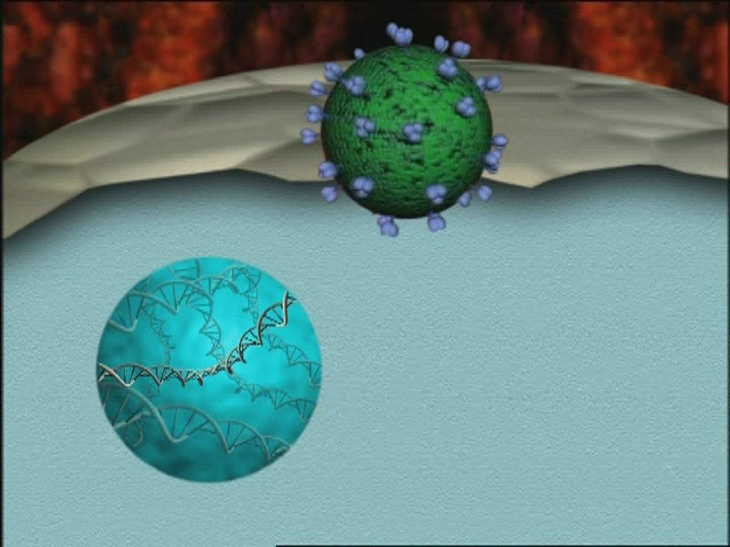 875959629 / Computer Animation / Medical Research