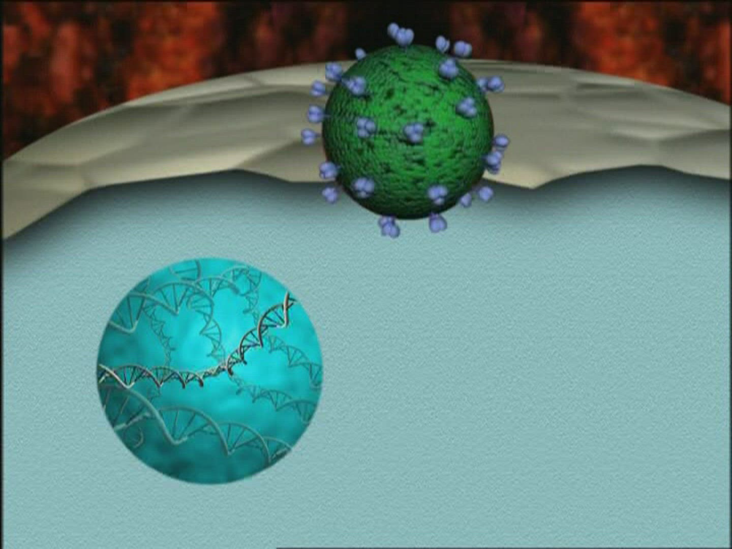 761693917 / Computer Animation / Medical Research