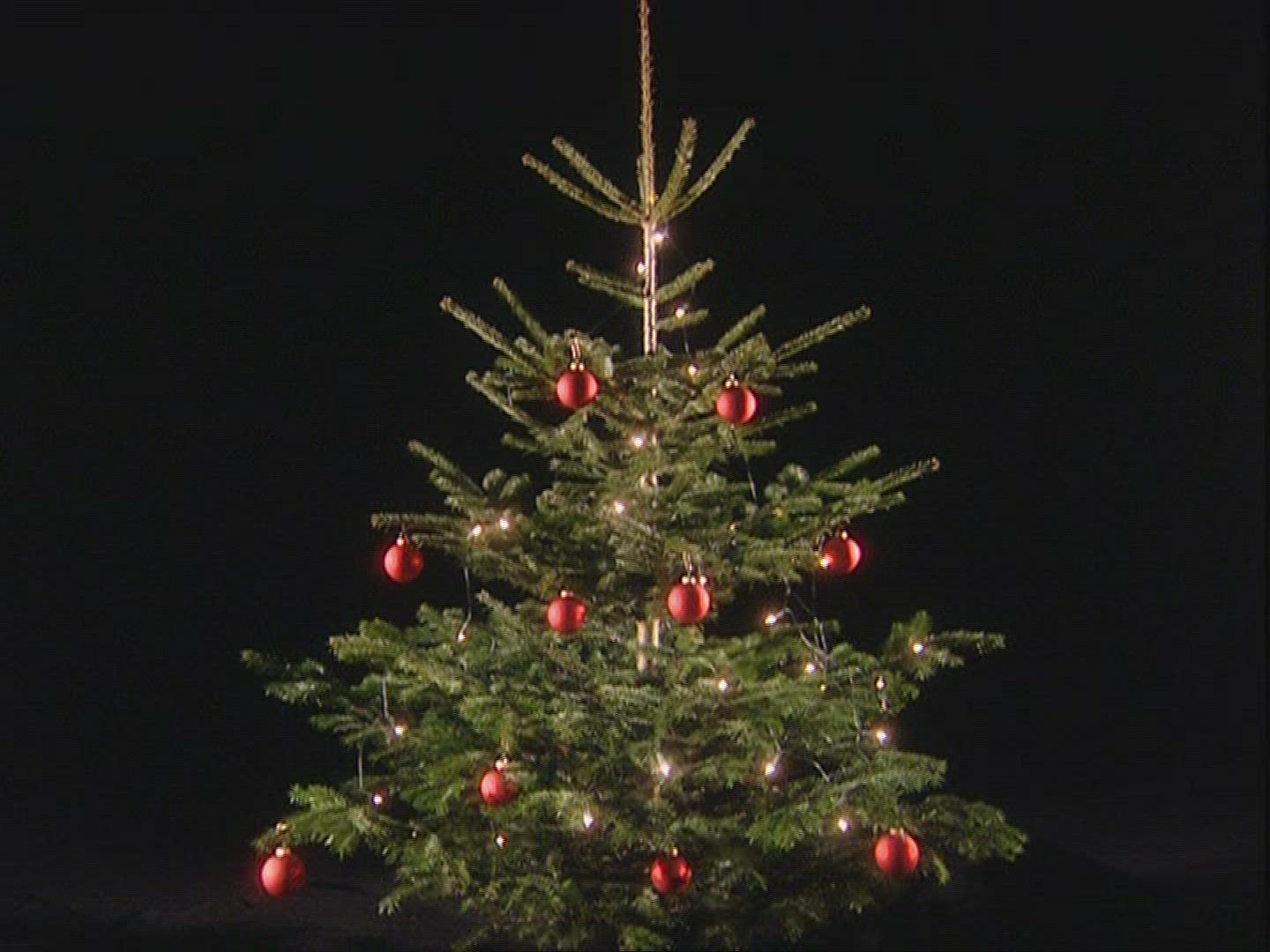 781806312 / Christmas Tree / Christmas Decoration