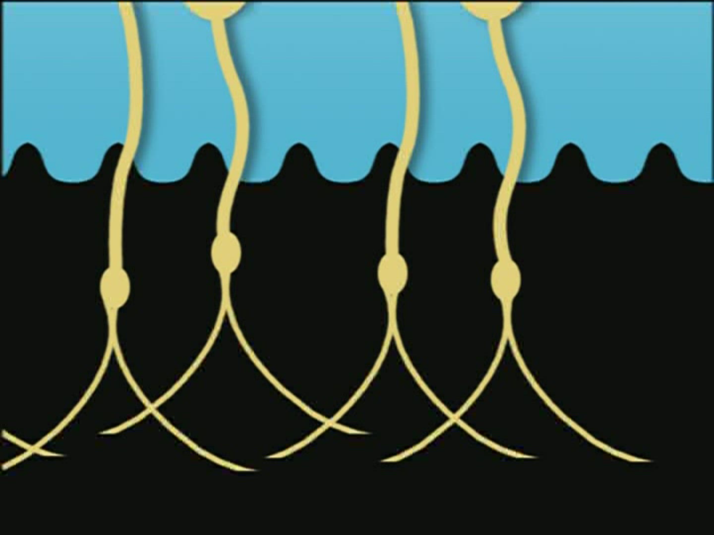 839251506 / Scent / Computer Animation