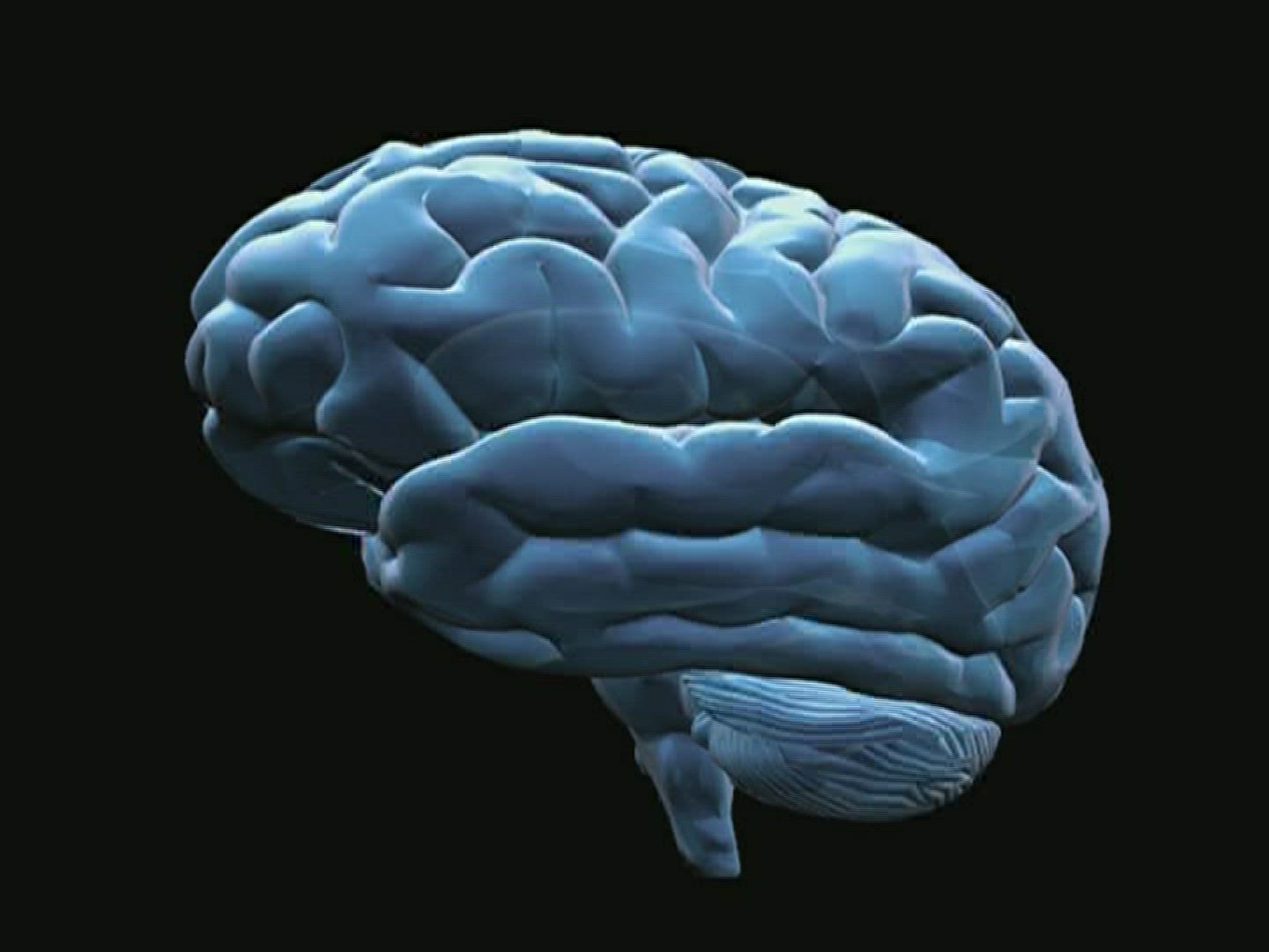 987976056 / Brain / Computer Animation