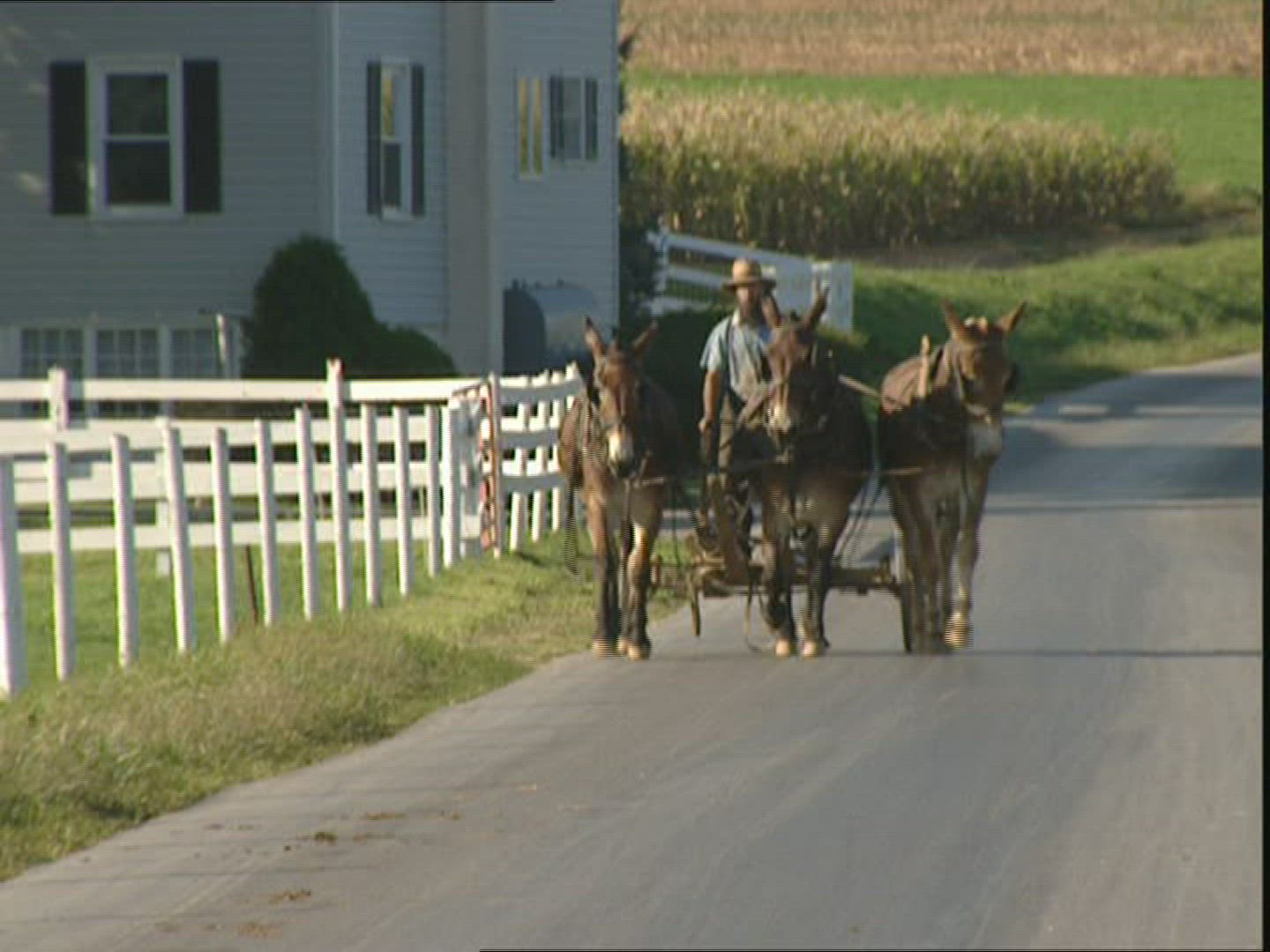 345298155 / Amish / Mennonites / USA
