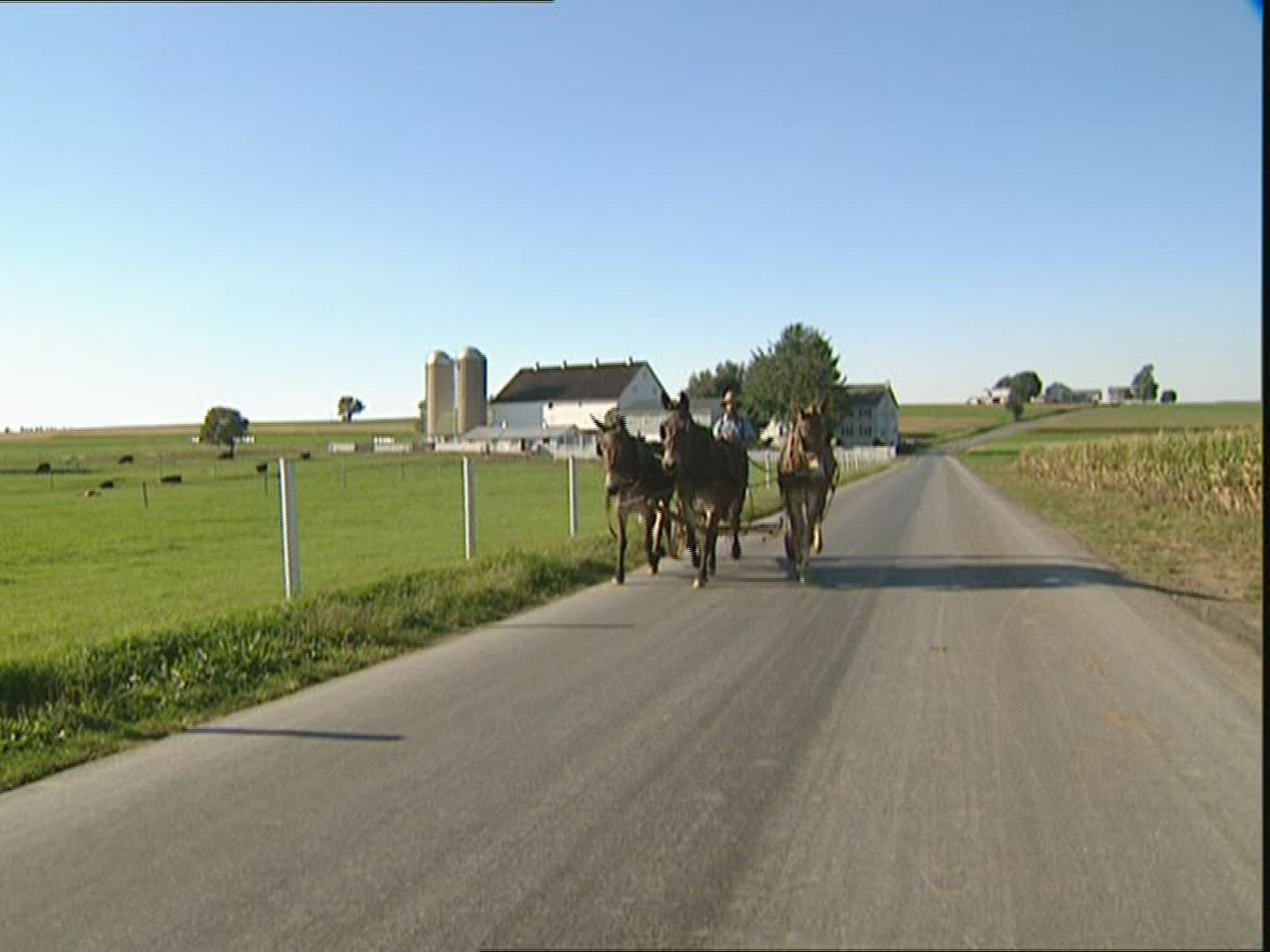 370897290 / Amish / Mennonites / USA