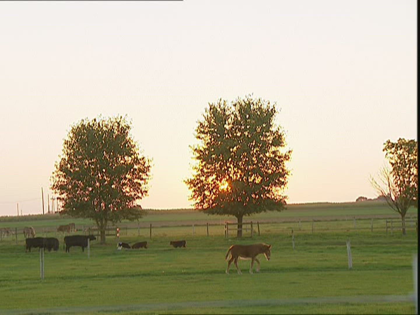 647409679 / Amish / Mennonites / USA