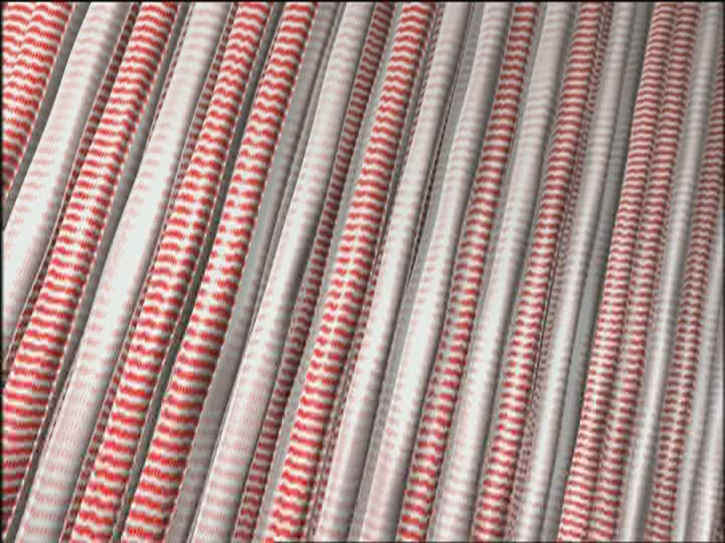 549252963 / Muscle / Contraction / Computer Animation