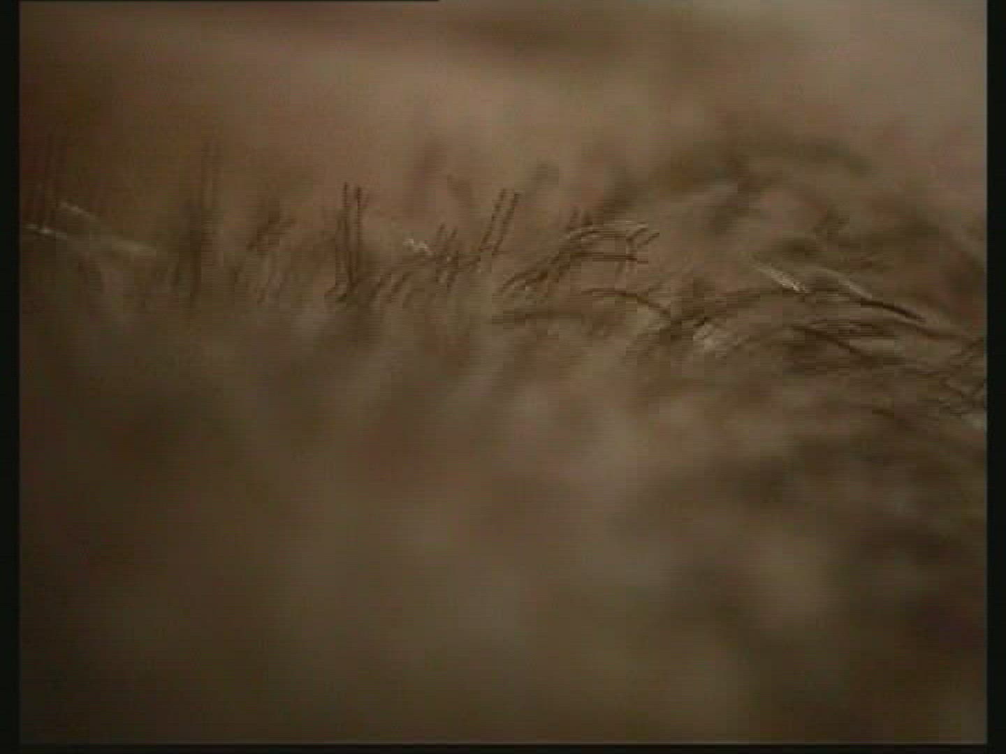 175285051 / Beard / Growth / Computer Animation