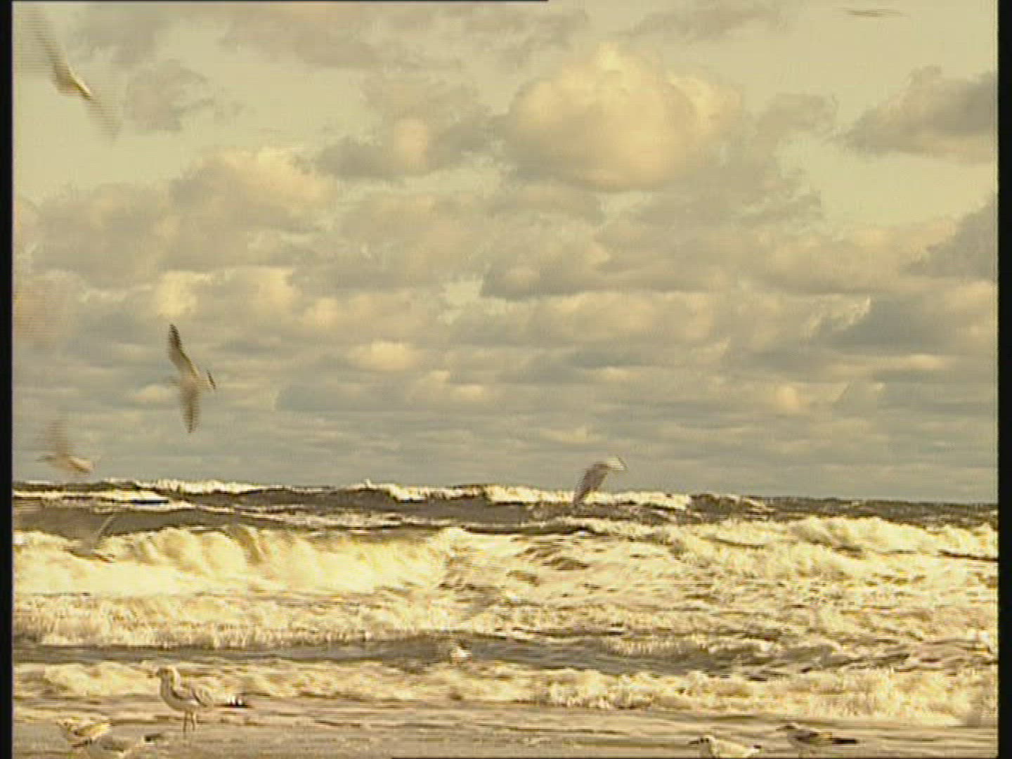 822549540 / Coast / Baltic Sea / Mecklenburg-Vorpommern / Germany / 1990