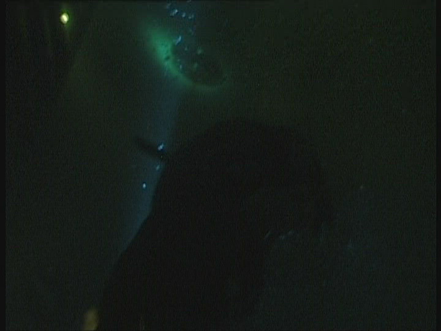 300865076 / Apnoe Diving / Test
