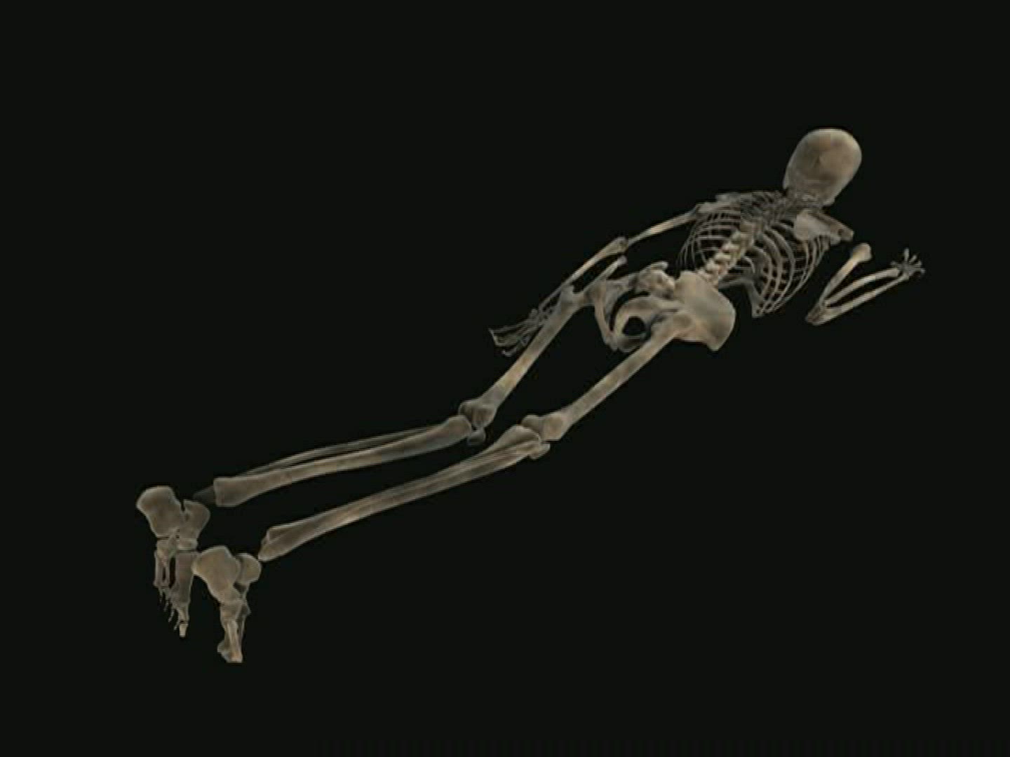 214492283 / Bog Body / Computer Animation