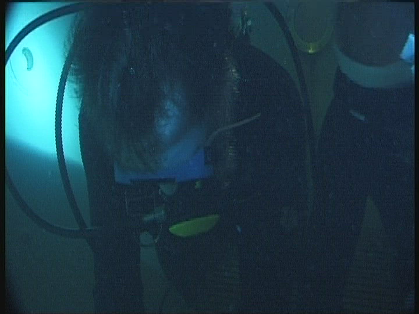 495742203 / Diving / Experiment