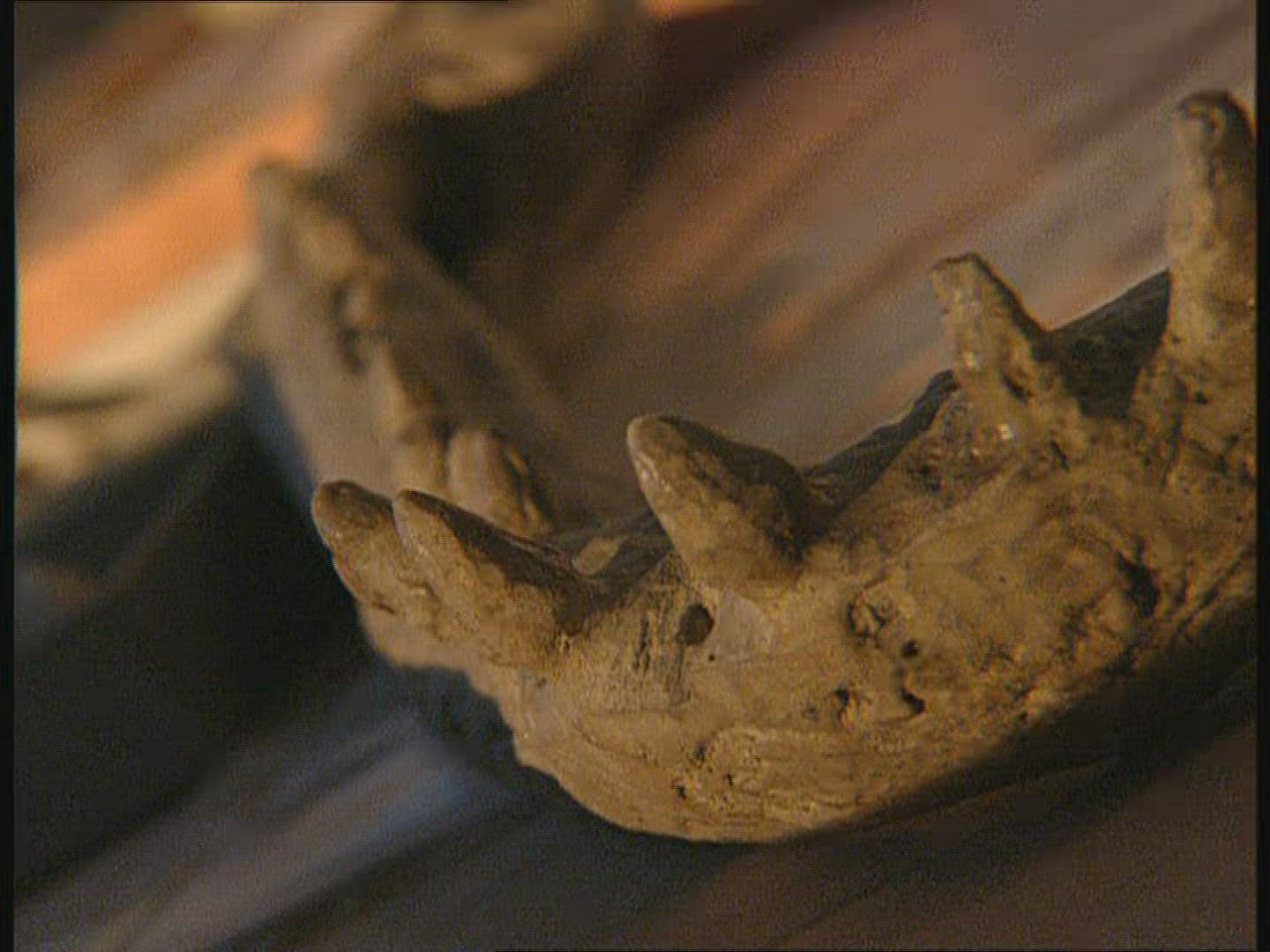 738268686 / Dinosaur / Museum / Germany